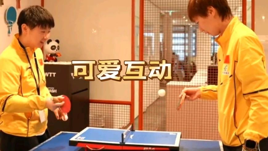 澳门正版免费资料大全1,赵露思给小谢女儿过生日,详细释义解释落实_尊享版V3.99